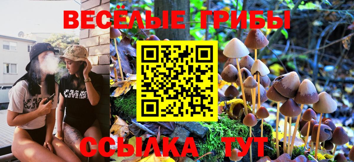 Торжок  Галлюциногенные грибы Psilocybe  Вход с VPN 