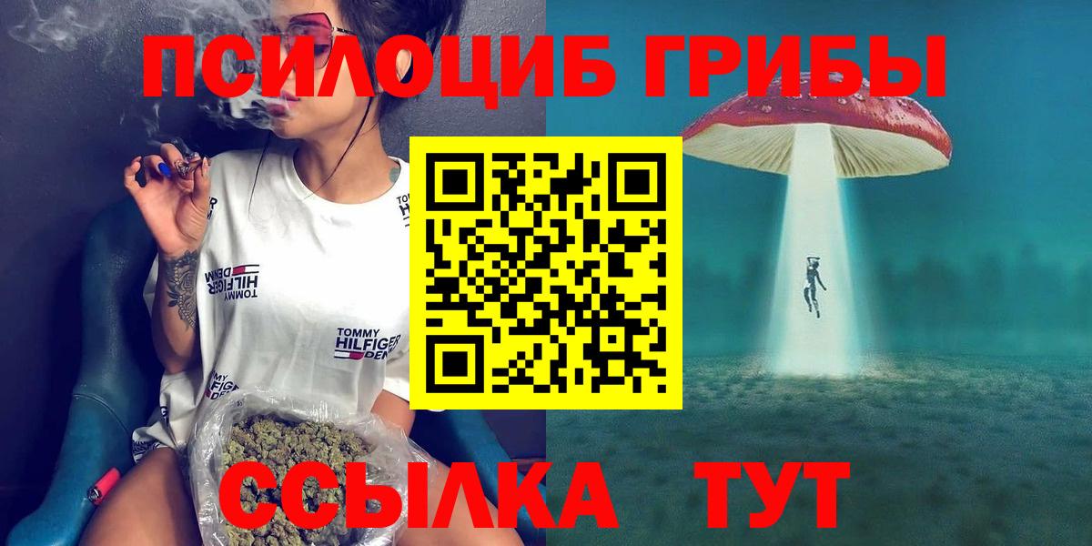 Галлюциногенные грибы мицелий Торжок