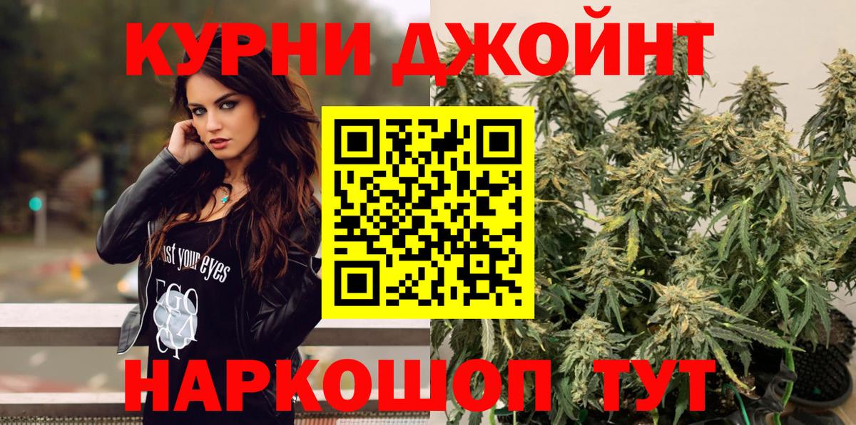 Каннабис планчик Торжок